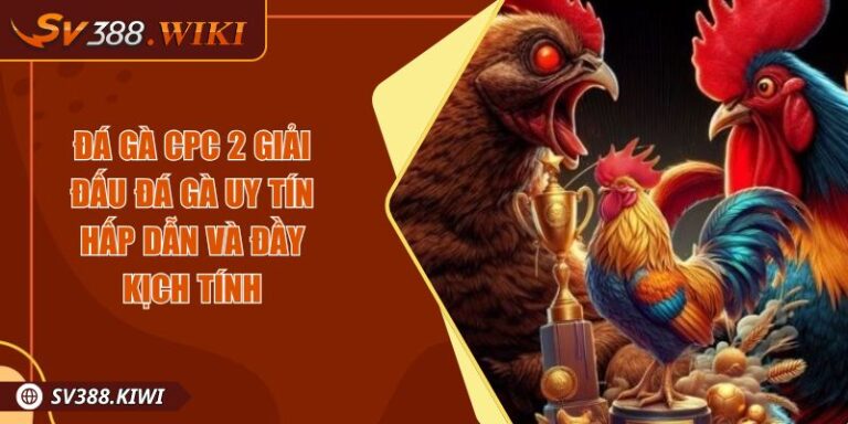 Đá Gà CPC 2 Giải Đấu Đá Gà Uy Tín Hấp Dẫn Và Đầy Kịch Tính