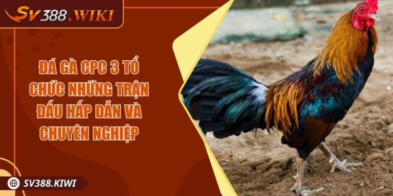 Đá gà CPC 3 Tổ Chức Những Trận Đấu Hấp Dẫn và Chuyên Nghiệp