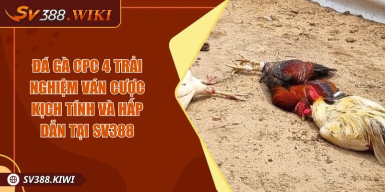 Đá Gà CPC 4 Trải Nghiệm Ván Cược Kịch Tính Và Hấp Dẫn Tại SV388