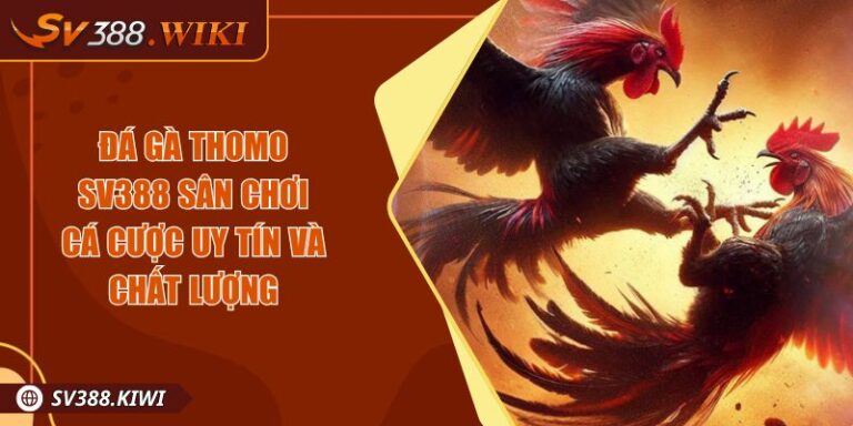 Đá gà Thomo SV388 Sân chơi cá cược uy tín và chất lượng