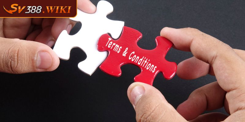 Điều kiện sử dụng dịch vụ