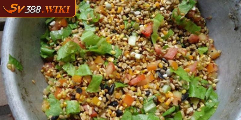 Cung cấp đầy đủ thức ăn cho chiến kê đúng lượng và hợp lý