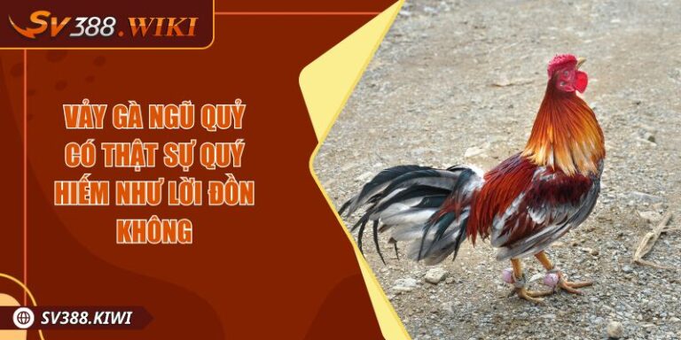 Vảy Gà Ngũ Quỷ Có Thật Sự Quý Hiếm Như Lời Đồn Không